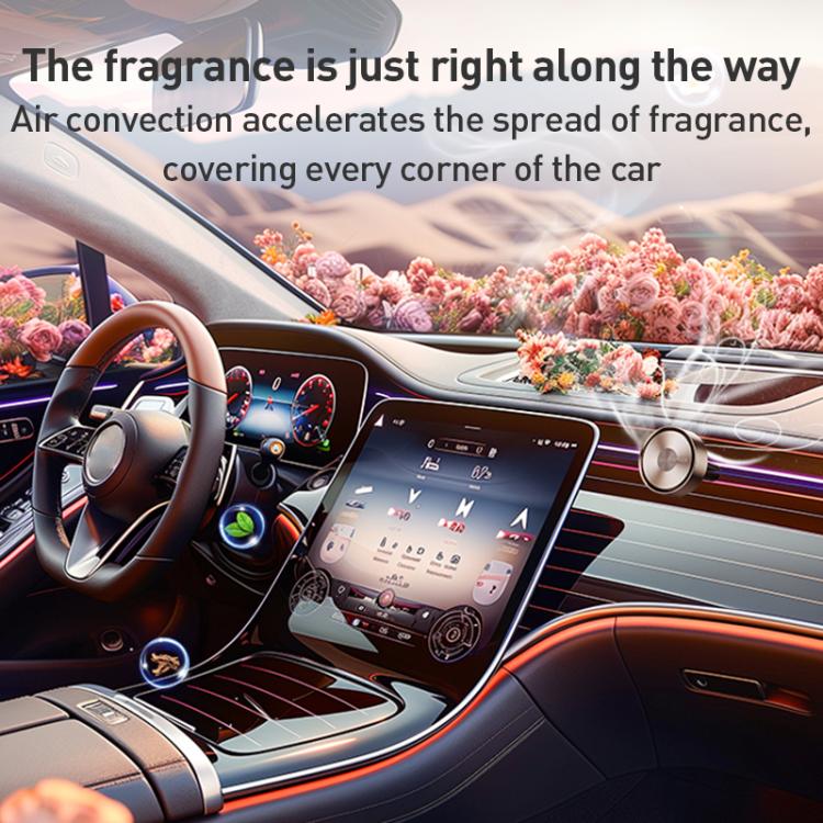 EDA0078269_B6.jpg@f50eaf13f22fd66b80cd305337b7d14e