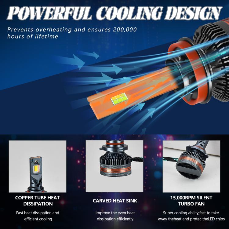 EDA008030401_4.jpg@65725849f59ee7301e049213d7e224d7