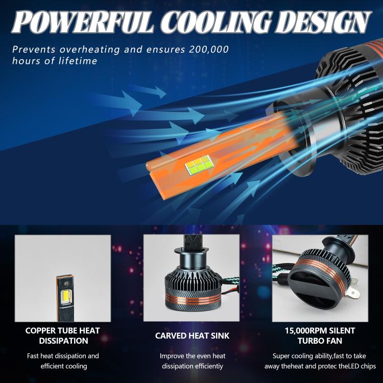 EDA008030403_4.jpg@5feff5364e72bc2b624fba932d4b19d8