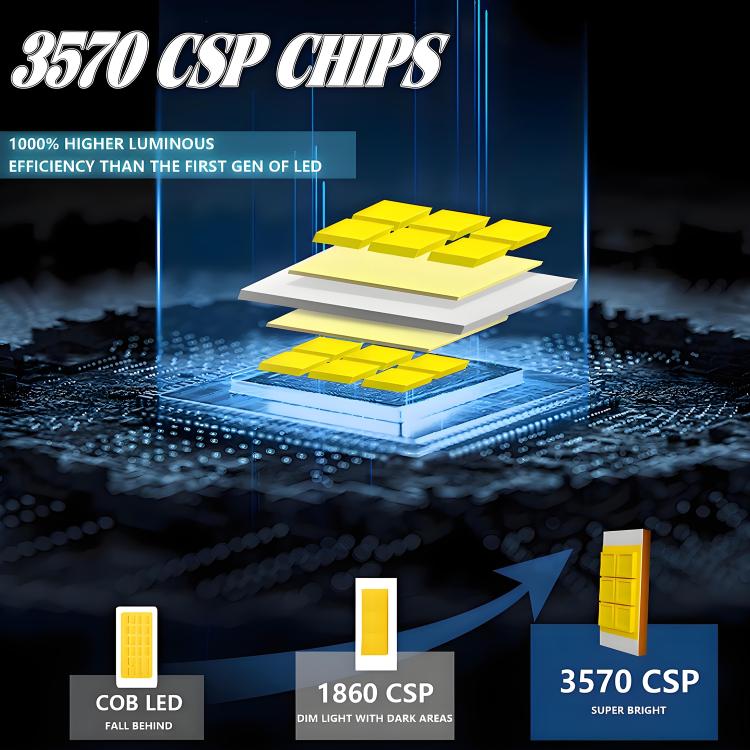 EDA008031201A_4.jpg@c84d6e293edf3740046953d308da5cda