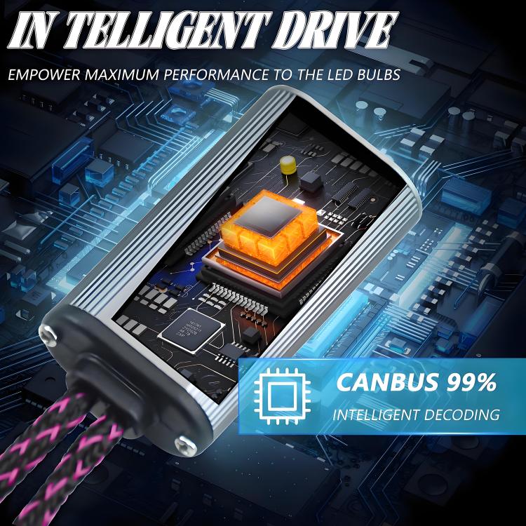 EDA008031201A_6.jpg@28ab693693e6c9d8e827e9dcc725805b