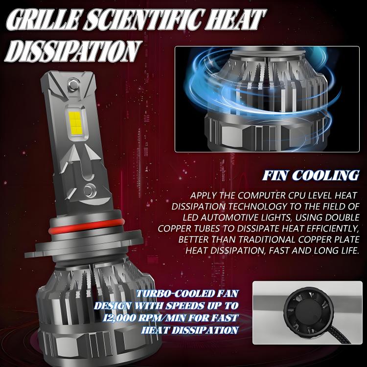 EDA008031201A_7.jpg@2f09d700b76a7e9cb4a68e2d4839239a