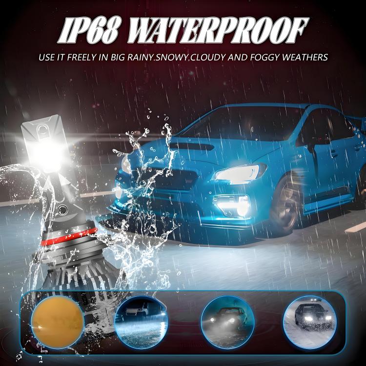 EDA008031201A_9.jpg@6f7d65aec29b8f817636fae6127da9bc