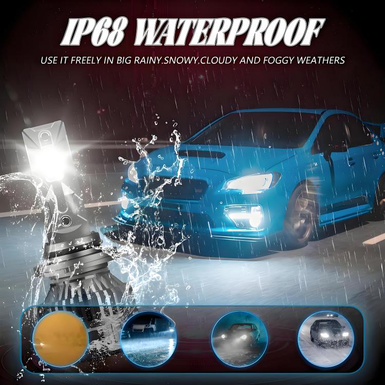 EDA008031202A_9.jpg@d36ed572363553277d00621d8434dc67