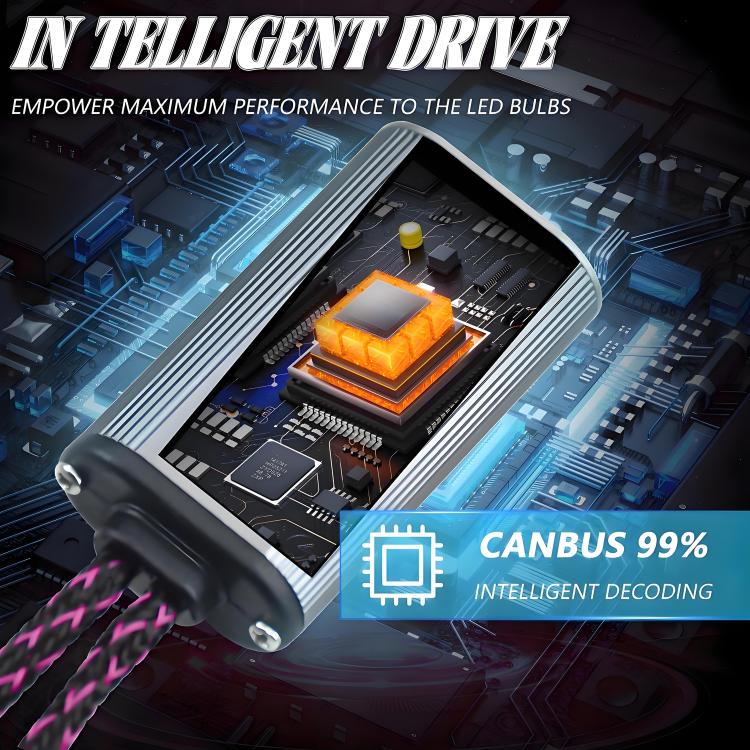 EDA008031203A_6.jpg@144ccf018770e592c90aed5d931b6e74