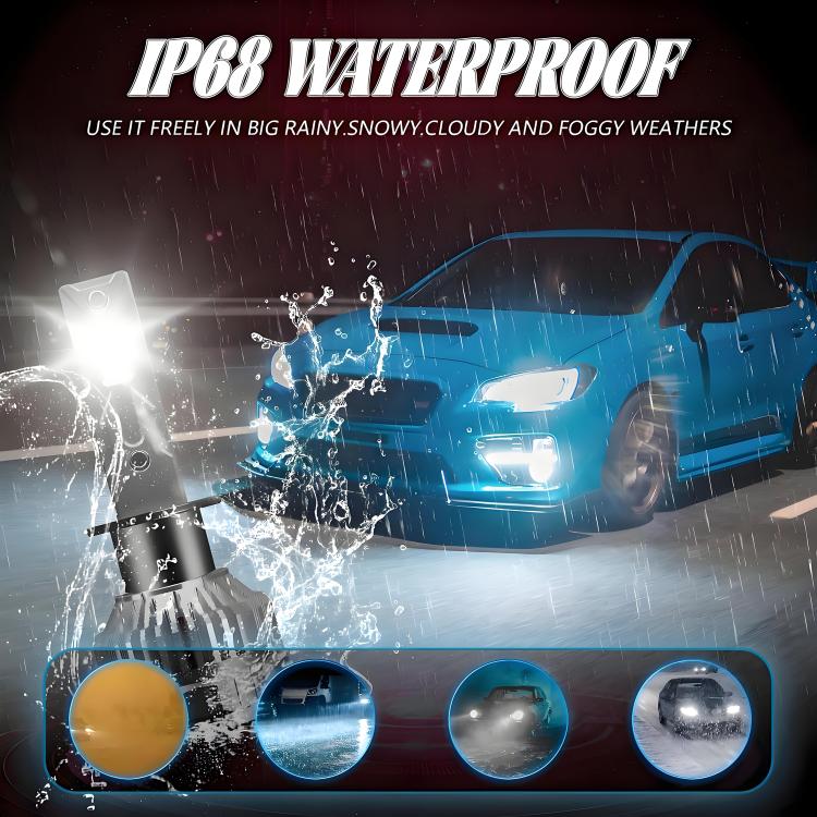 EDA008031203A_9.jpg@4479cac9b14378776469f2bba9d8e7bd