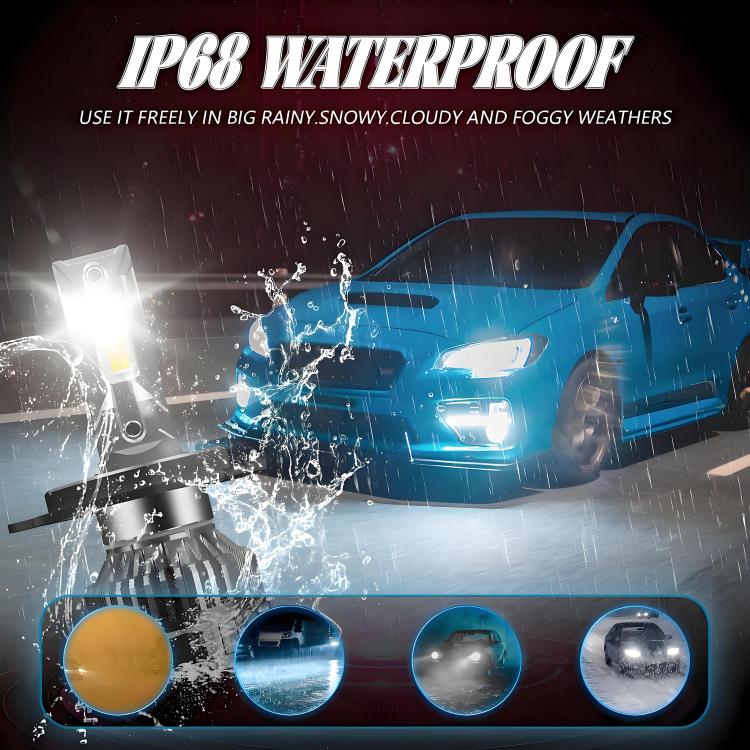 EDA008031204A_9.jpg@494f328082b3c1ea1d547ca239e24028