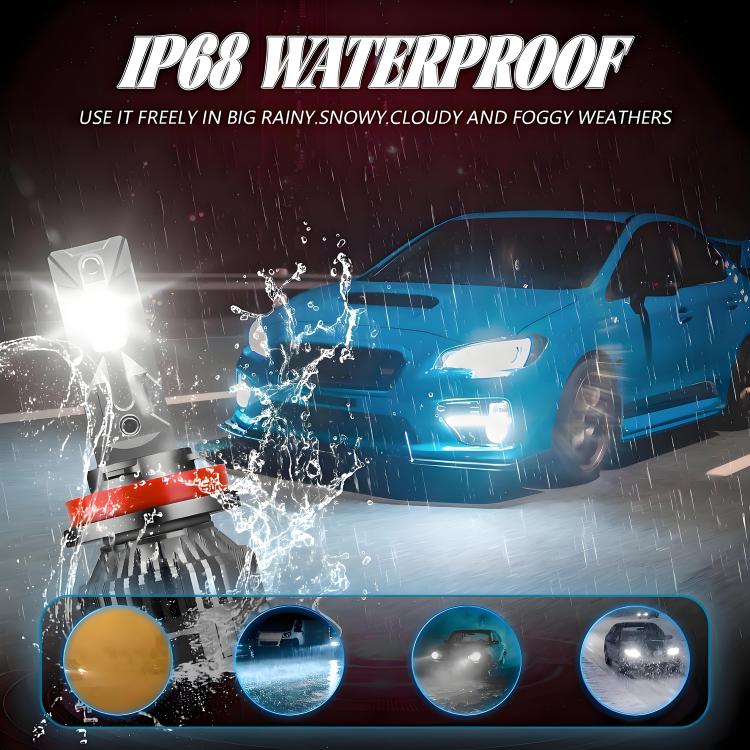 EDA008031206A_9.jpg@7292e5955e7b93f51f8415f3e631c4c0