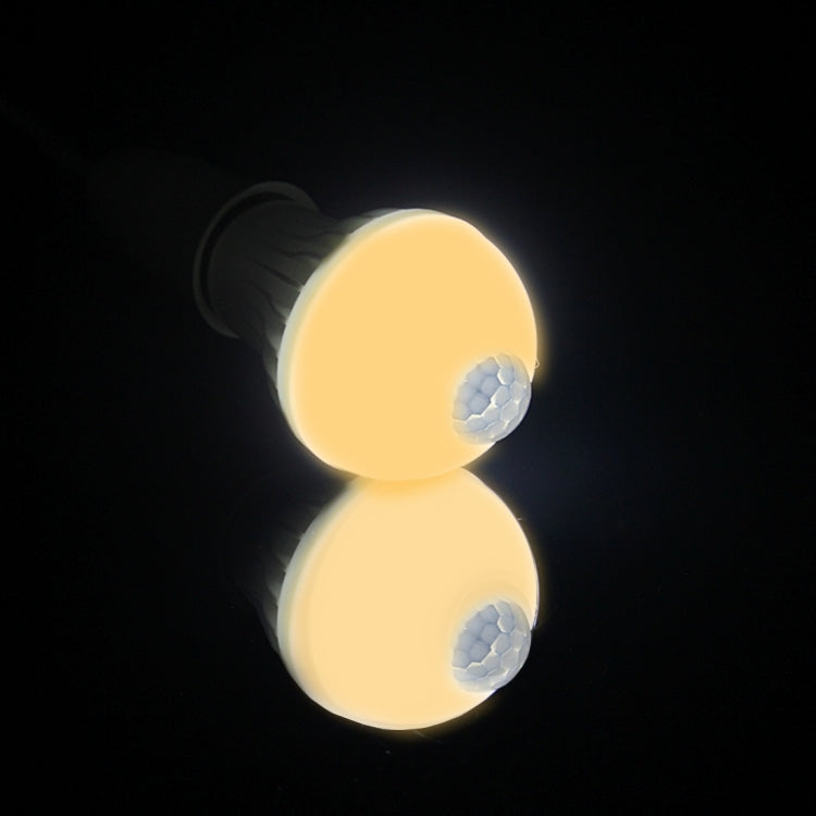 LED5202WW_6.jpg@251b4cac54d9698237a5601545b22cd9