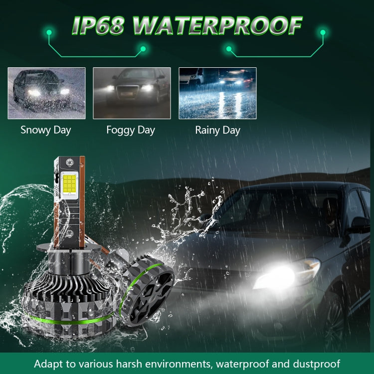 TBD0605244504_10.jpg@e169f97706297b9baaa9ed367b01497b