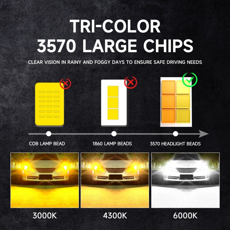 TBD06052465_B5.jpg@c286a622fda58326a012b5b698a03402