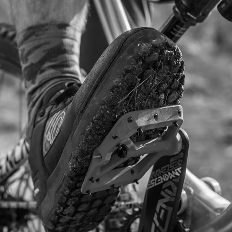 TBD06058602_B5.jpg@2e0cefaa95e8407e8408a537536fbc69