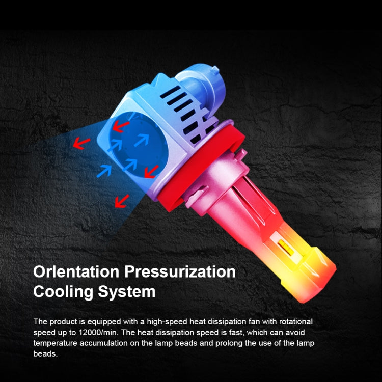 CRP0184LW_4.jpg@253958f37b18eb70785bb6ba76cc0668