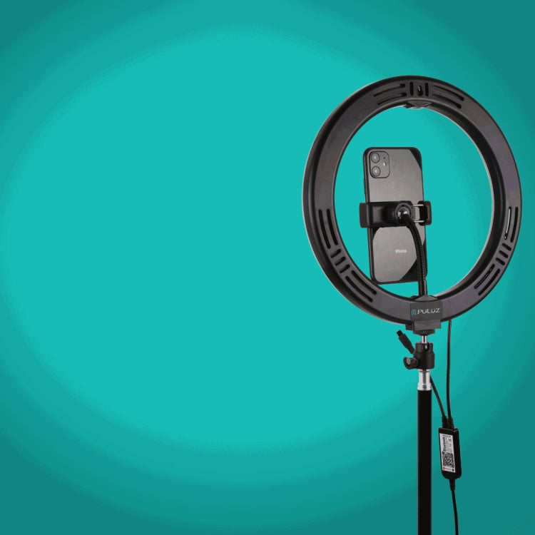 PKT3051B_8.jpg@bd5f8797793f06e51e7f02d856dc111b