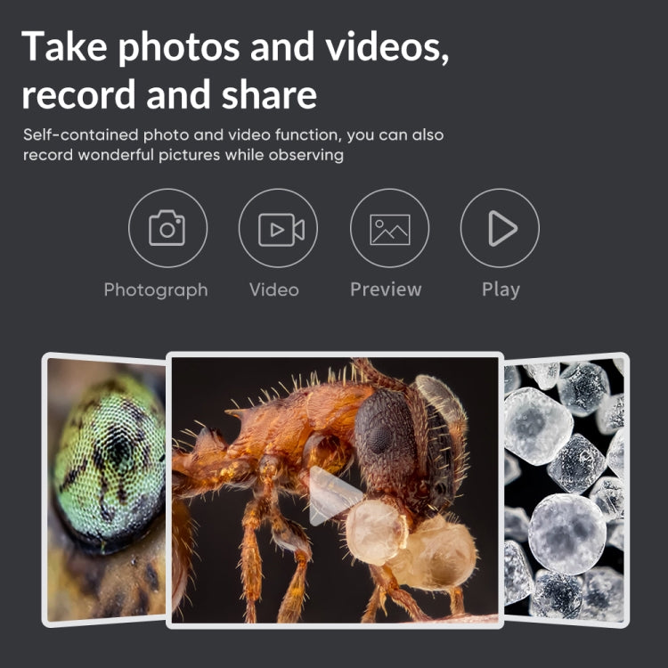 TBD0603351001_B6.jpg@6eb2b14be3a2221eb11e74a53e292c1b