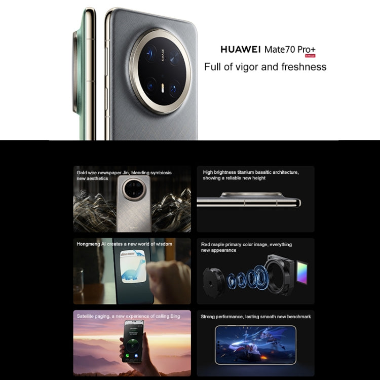 MPH2645_B1.jpg@3a99058b35fcec148f0ce3aec0ad0249