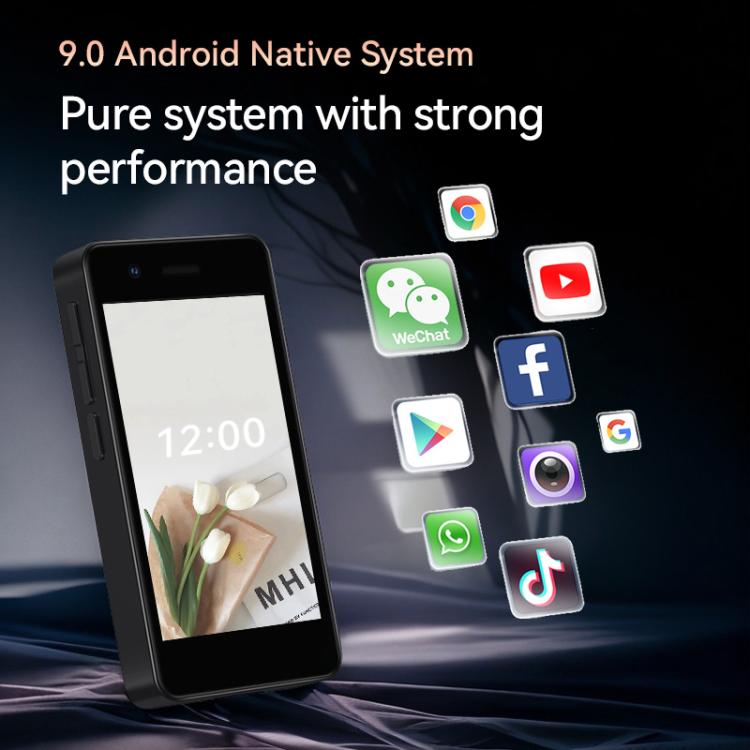 MPH2855_B2.jpg@b5a1c945fe46e05cbafc78e9d26c507b