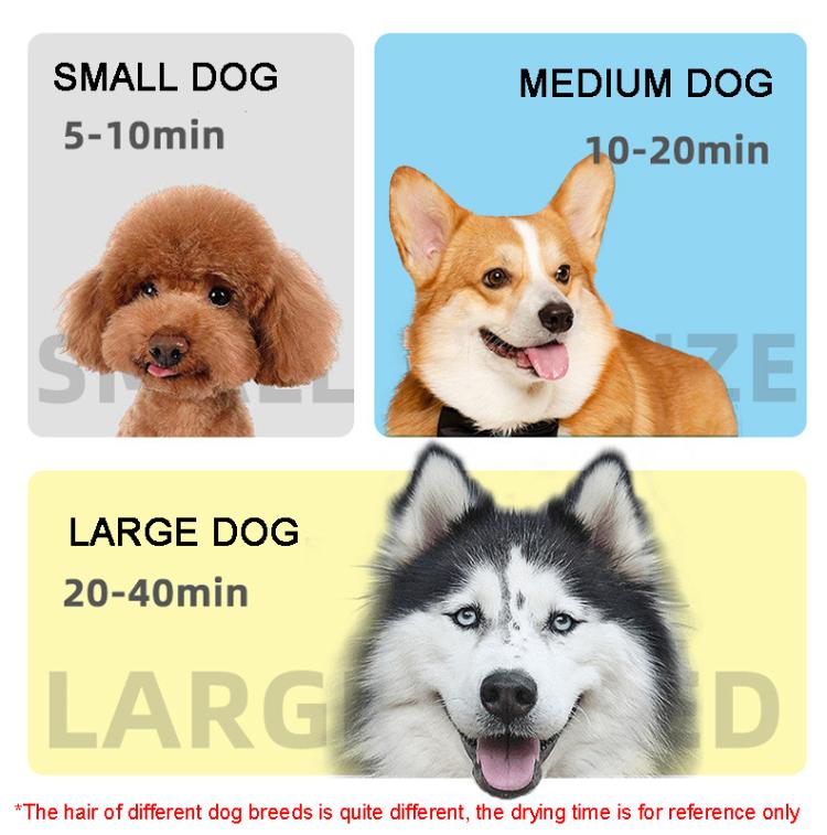 TBD06038539_B7.jpg@1d20f7a366ffe00a50bdf4b33bf80600