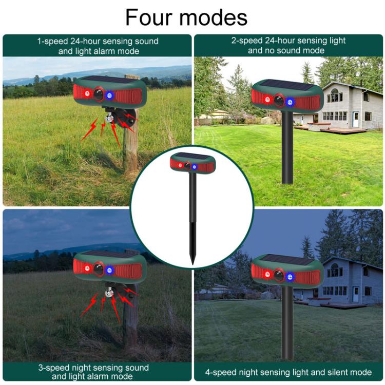 TBD06057263_B5.jpg@d1524c474ec03e0ba8cc2ecc2ce29bb2