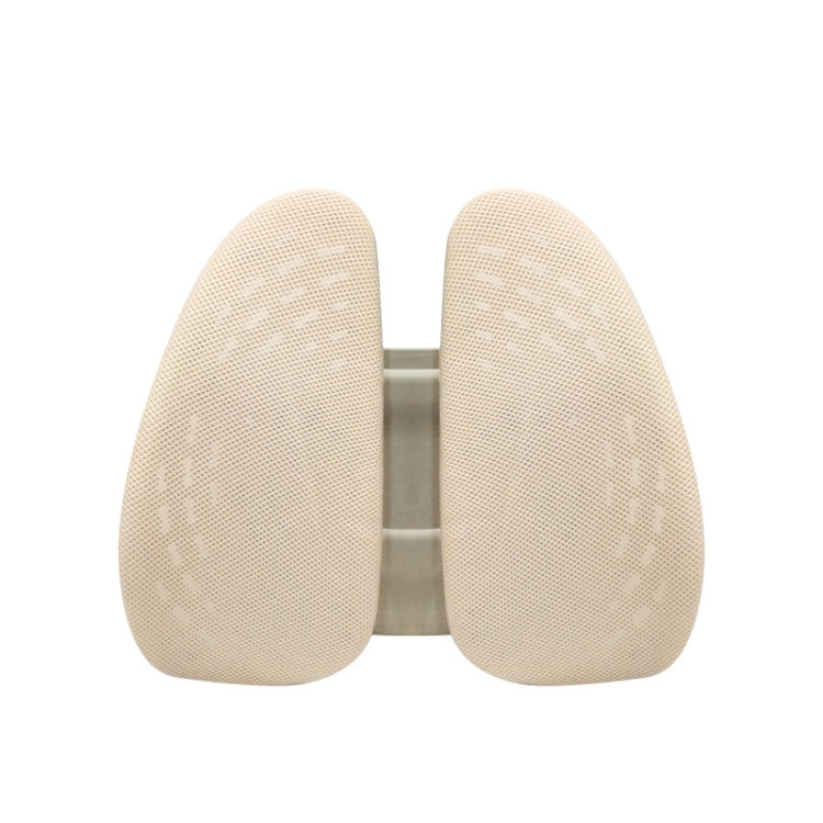 TBD0601923901C.jpg@535e227b54bebcfdaf076c4cda0bb6e4